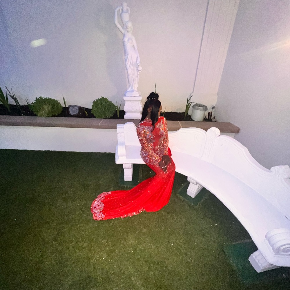 Prom dress - Picture 5 of 8